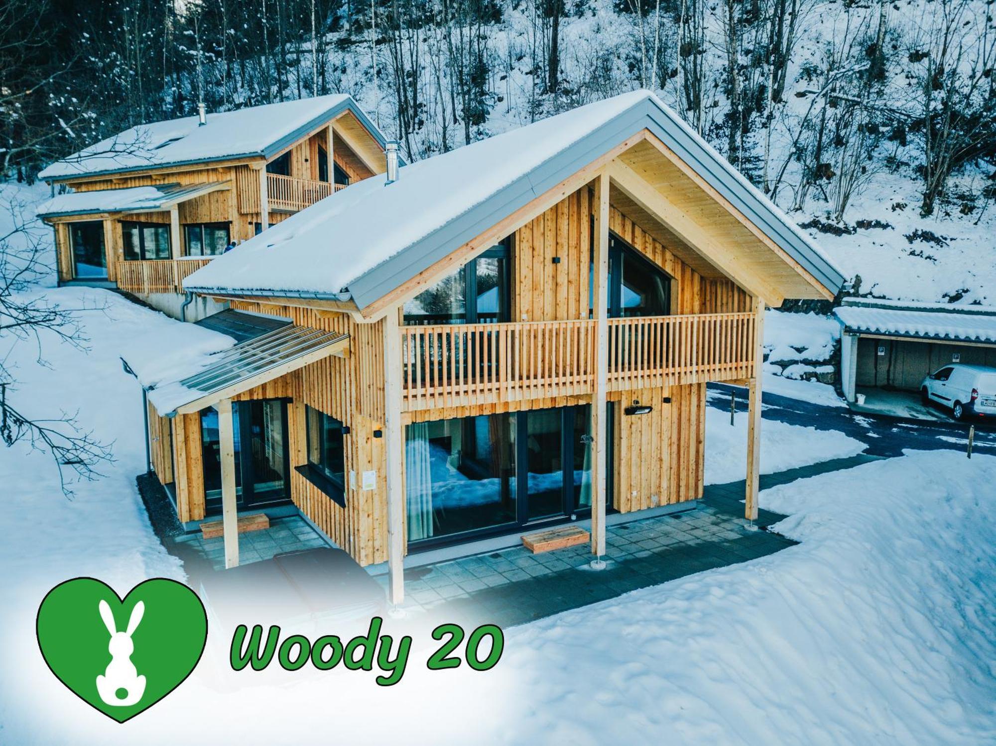 Woody Park Villa Sankt Georgen ob Murau Kültér fotó