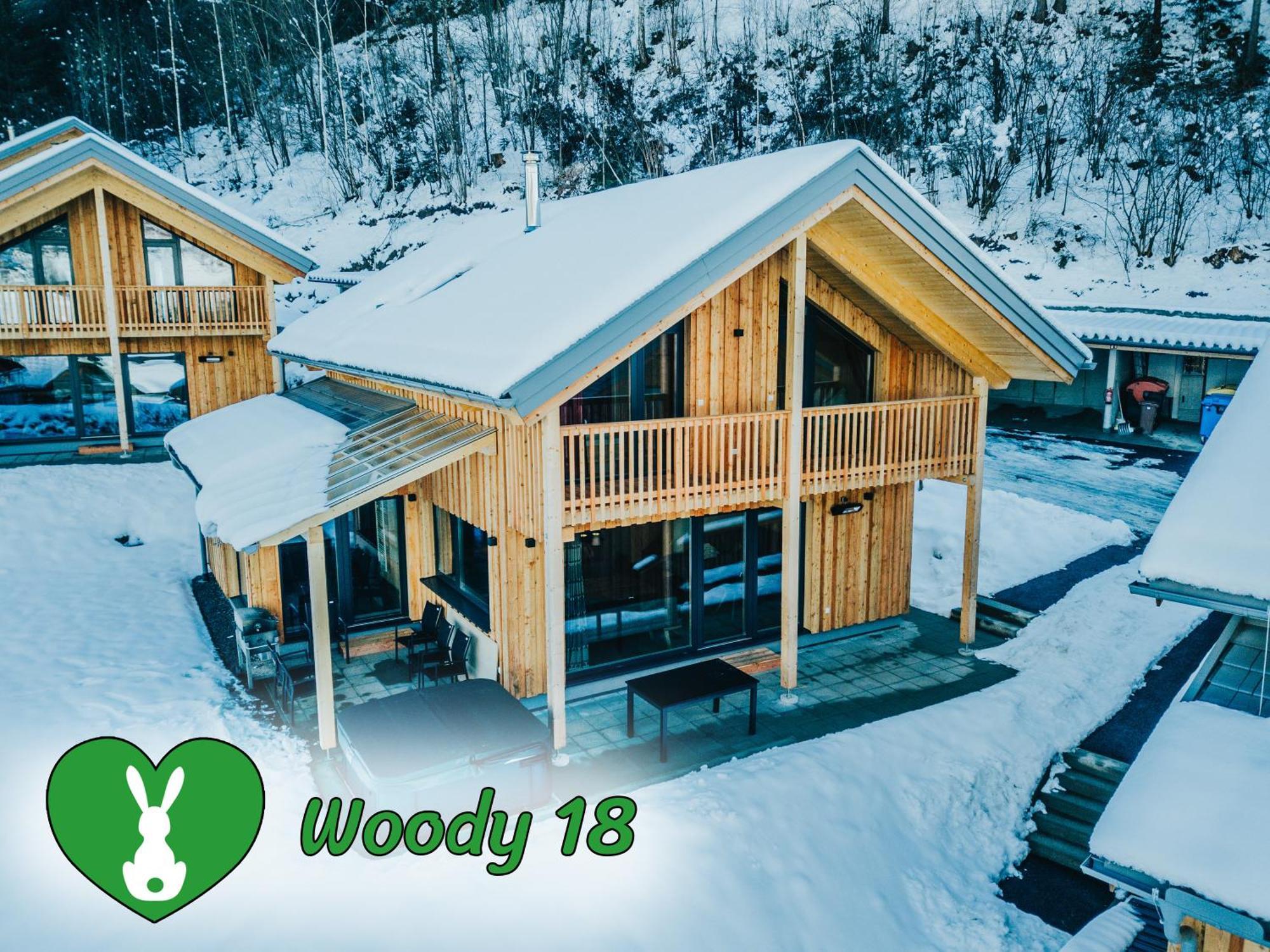 Woody Park Villa Sankt Georgen ob Murau Kültér fotó