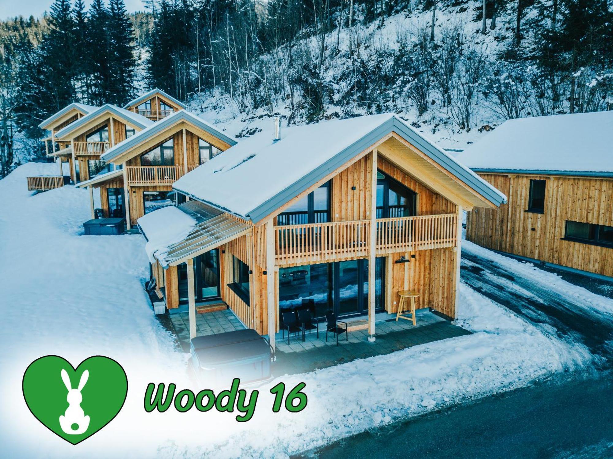 Woody Park Villa Sankt Georgen ob Murau Kültér fotó