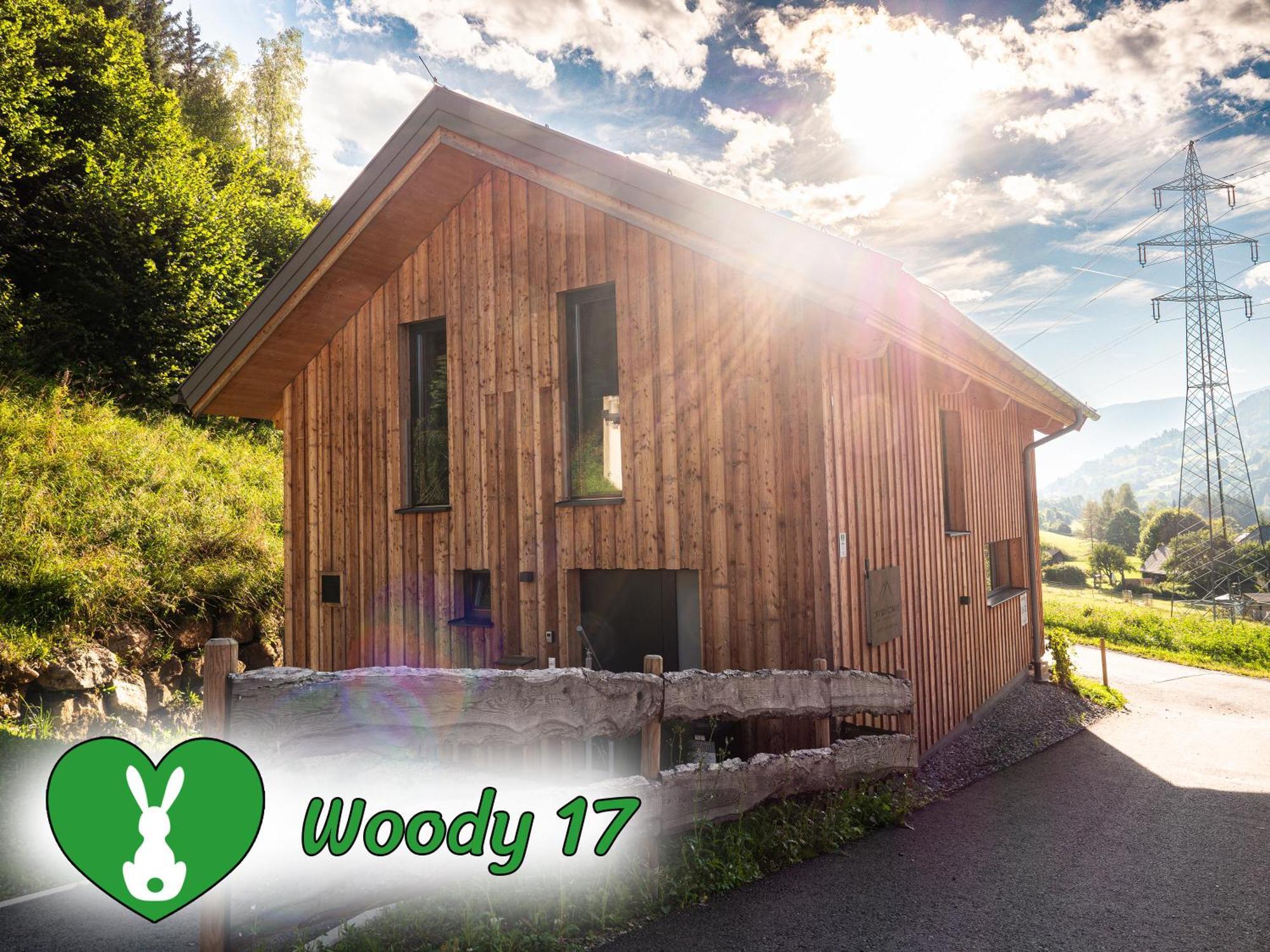 Woody Park Villa Sankt Georgen ob Murau Kültér fotó