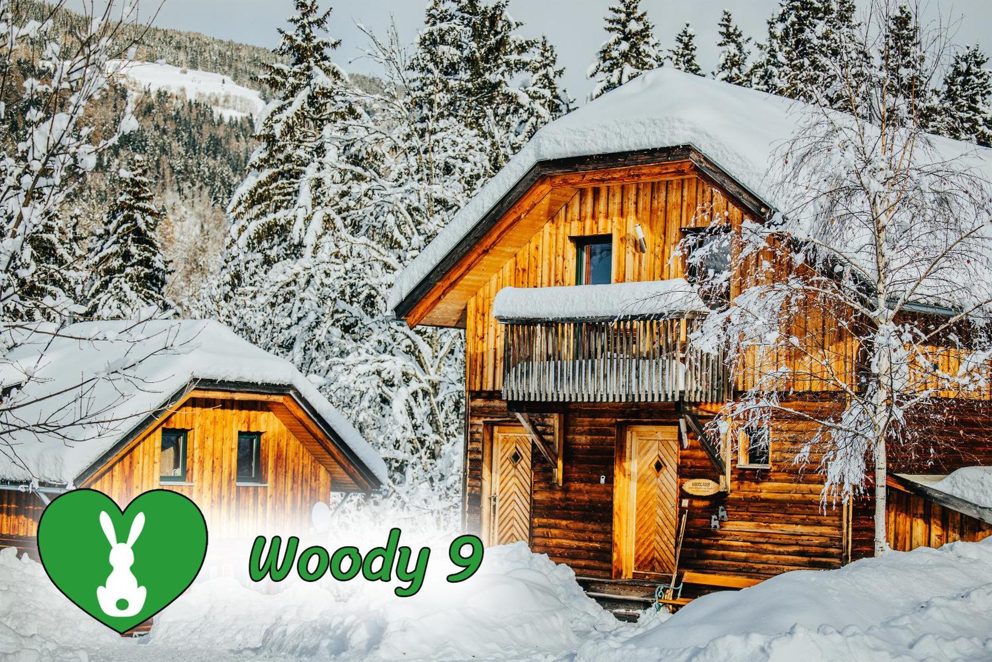 Woody Park Villa Sankt Georgen ob Murau Kültér fotó