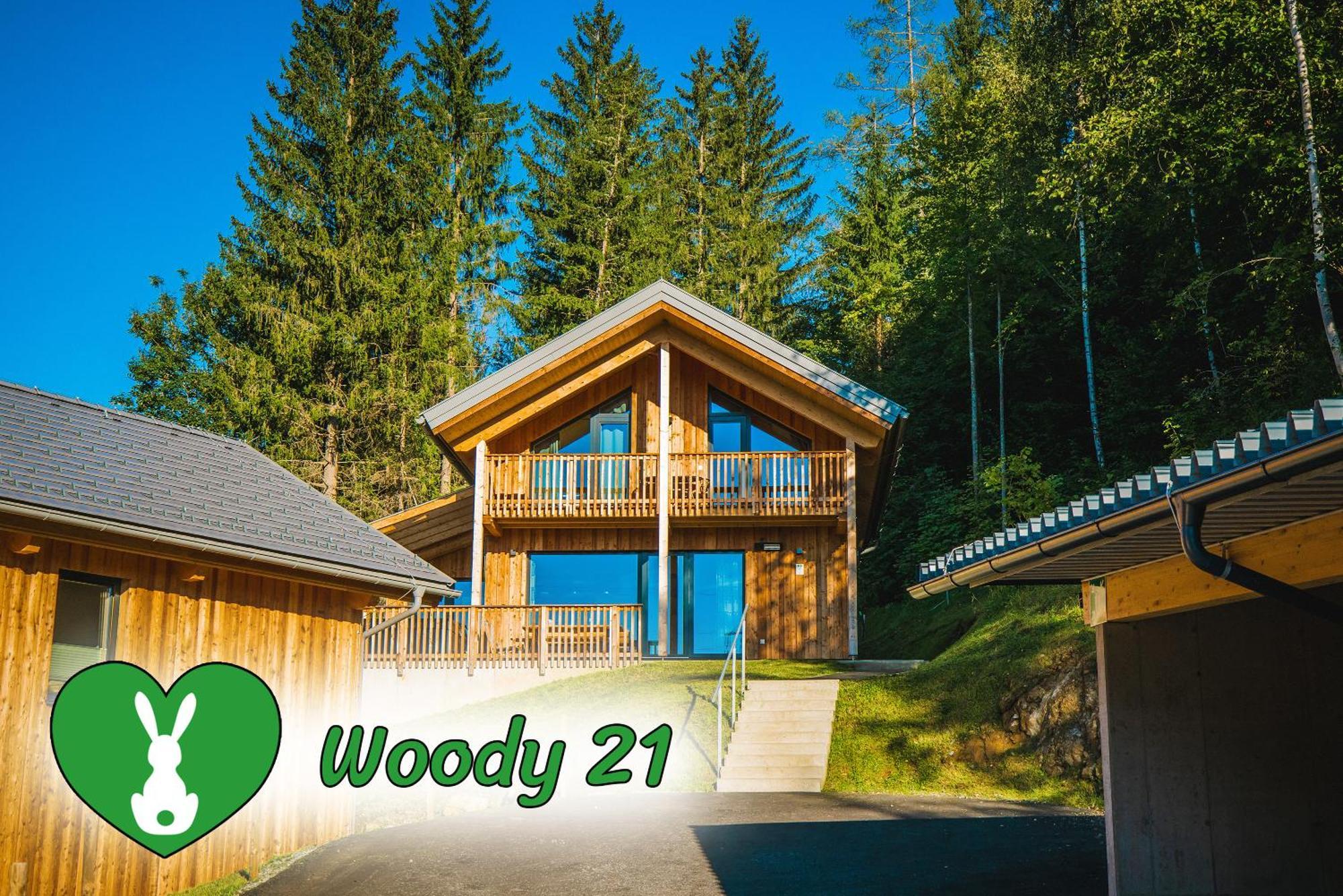 Woody Park Villa Sankt Georgen ob Murau Kültér fotó