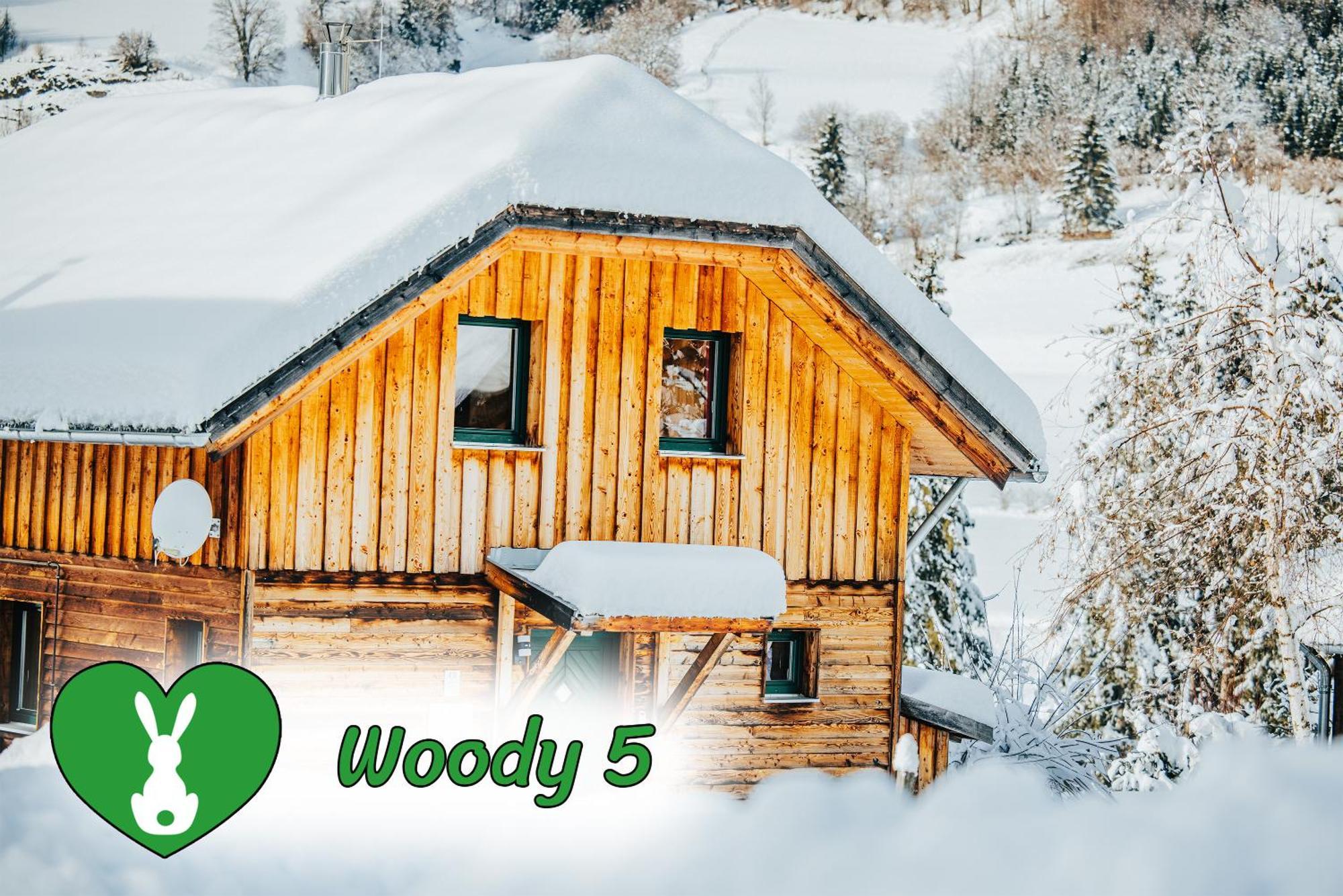 Woody Park Villa Sankt Georgen ob Murau Kültér fotó